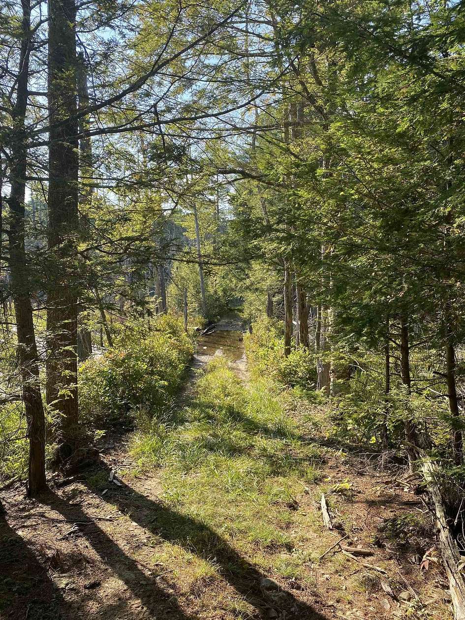 9.8 Acres of Residential Land for Sale in Chester, New Hampshire