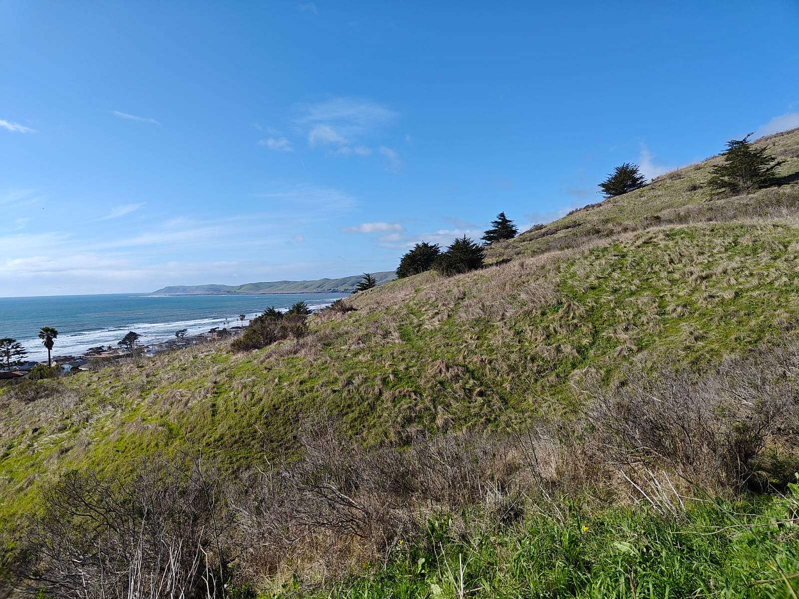 0.04 Acres of Residential Land for Sale in Cayucos, California