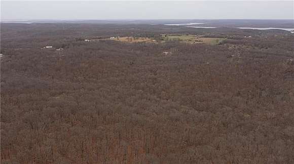 19 Acres of Recreational Land for Sale in Deepwater, Missouri