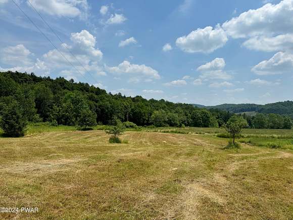 11.93 Acres of Recreational Land for Sale in Damascus, Pennsylvania