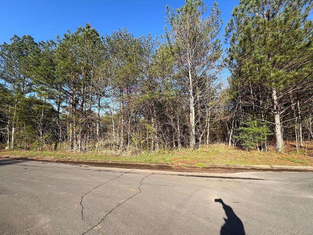 Residential Land for Sale in Chatsworth, Georgia