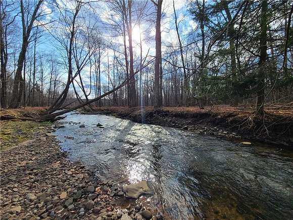 30.7 Acres of Land for Sale in Liberty, New York