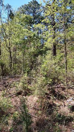 0.24 Acres of Land for Sale in Lumberton, Mississippi