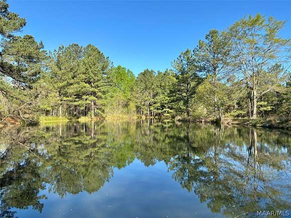 10.4 Acres of Land for Sale in Cecil, Alabama