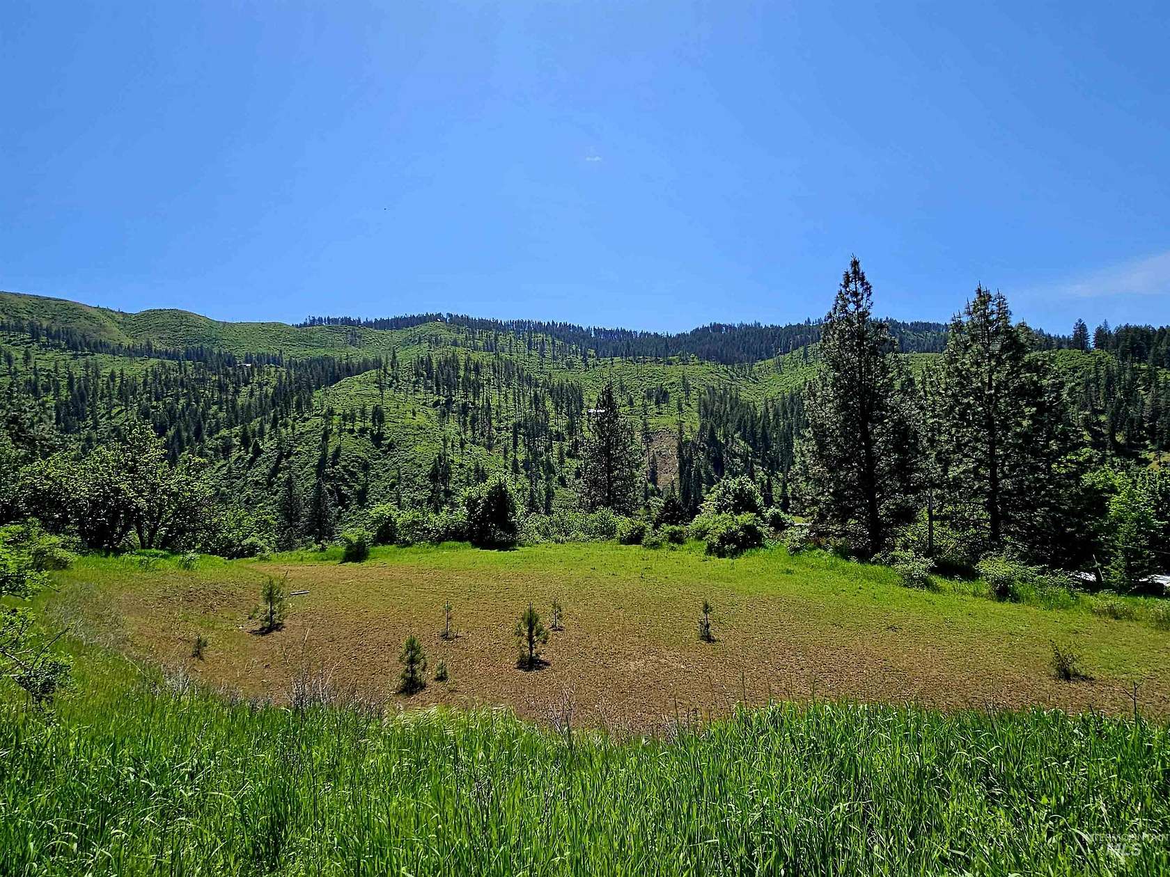 1.5 Acres of Residential Land for Sale in Orofino, Idaho