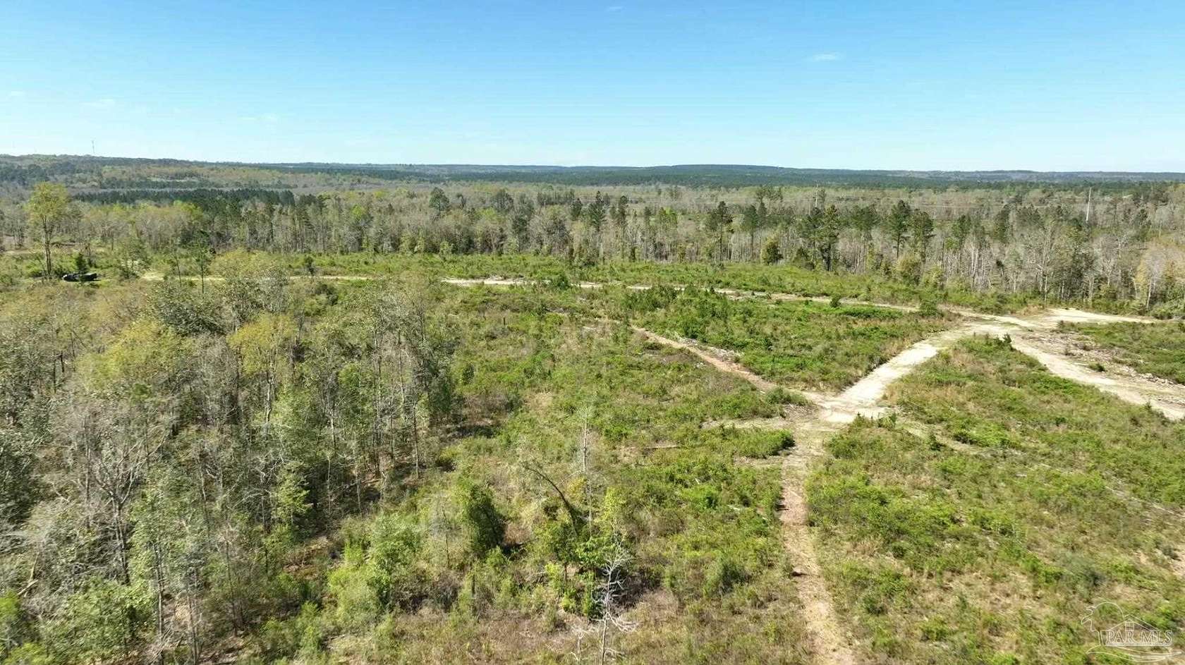 15.5 Acres of Land for Sale in Molino, Florida