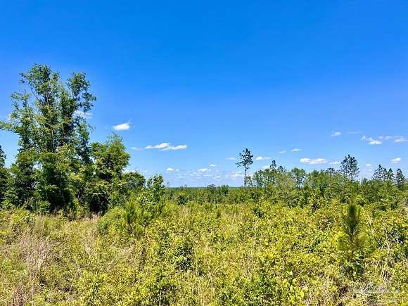 15.5 Acres of Land for Sale in Molino, Florida