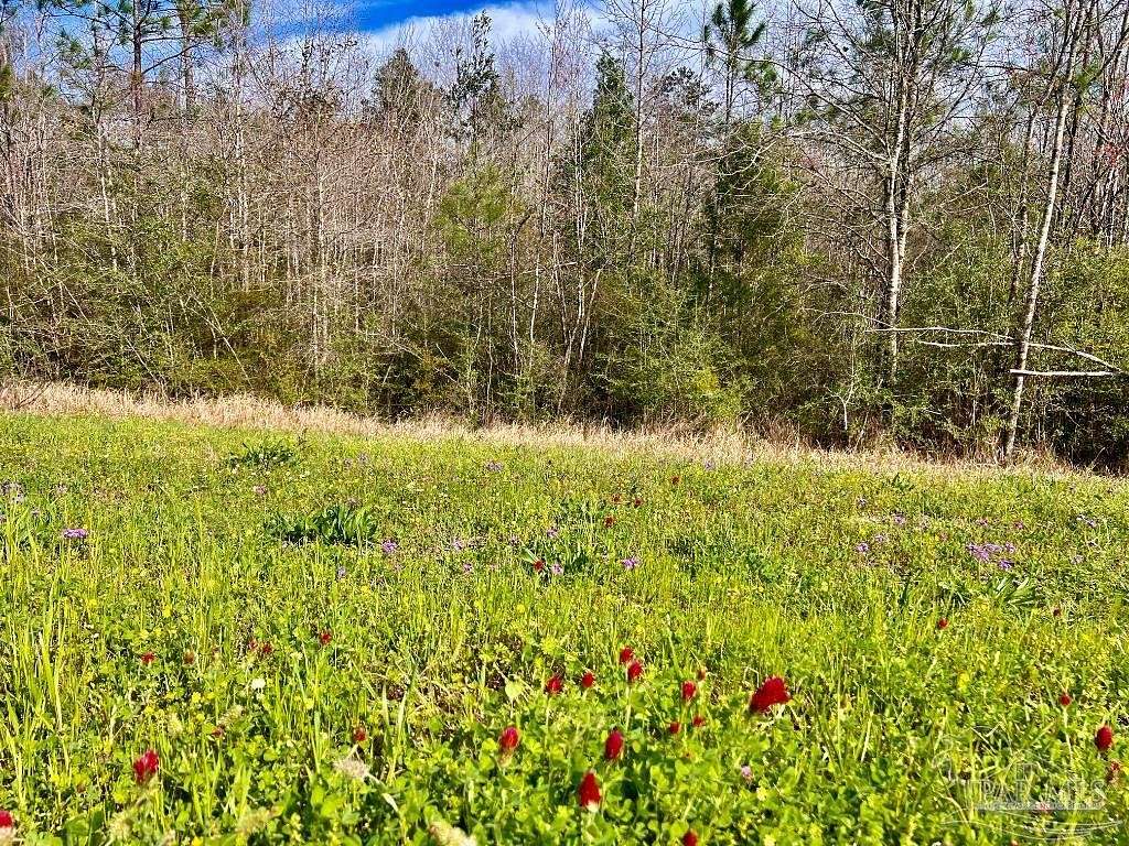 13.1 Acres of Land for Sale in Molino, Florida