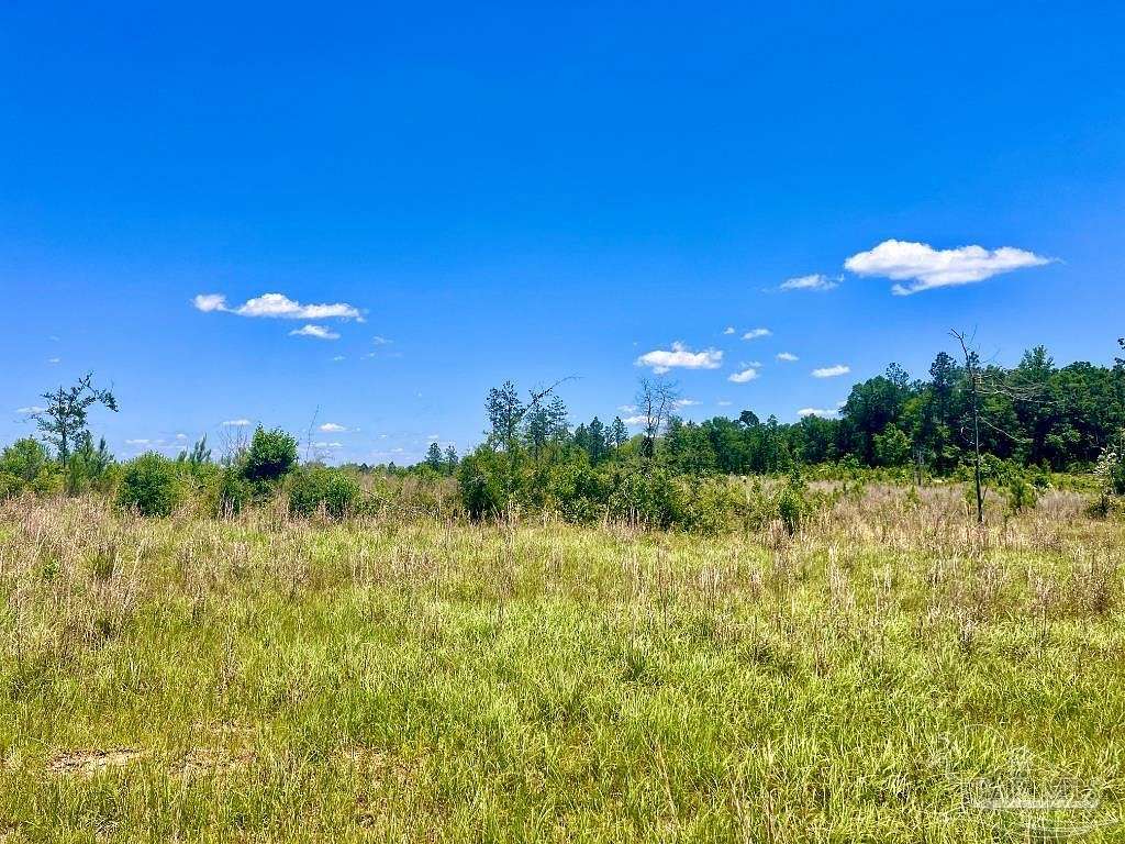 39.9 Acres of Land for Sale in Molino, Florida