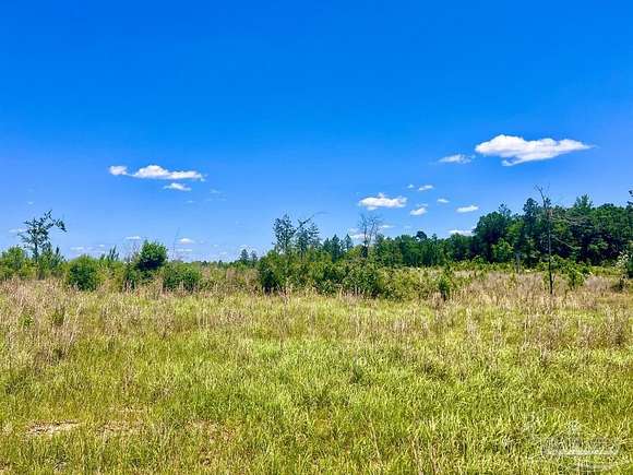 39.9 Acres of Land for Sale in Molino, Florida