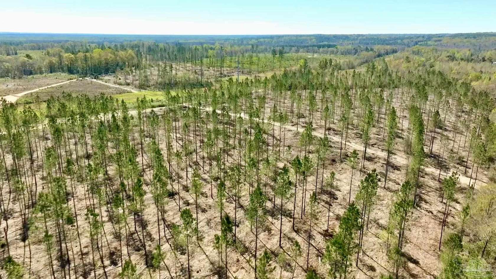 22.3 Acres of Recreational Land for Sale in Molino, Florida