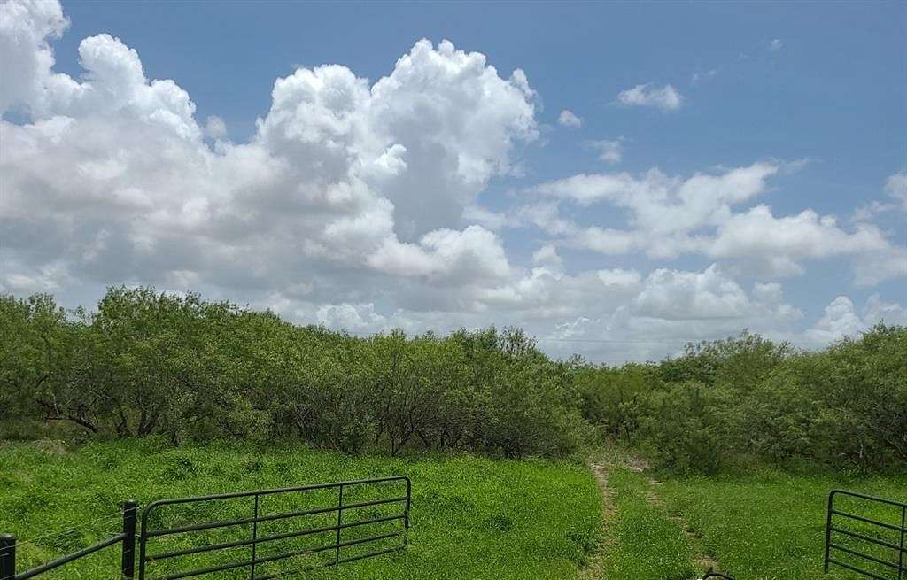 Land for Sale in Kingsville, Texas