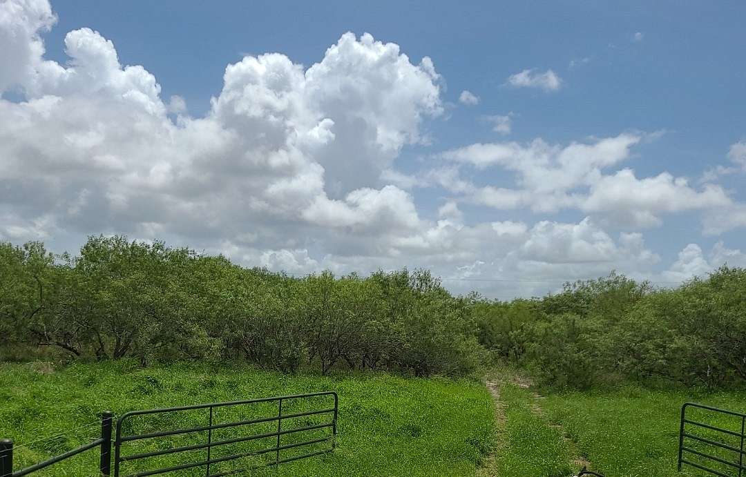 Residential Land for Sale in Kingsville, Texas