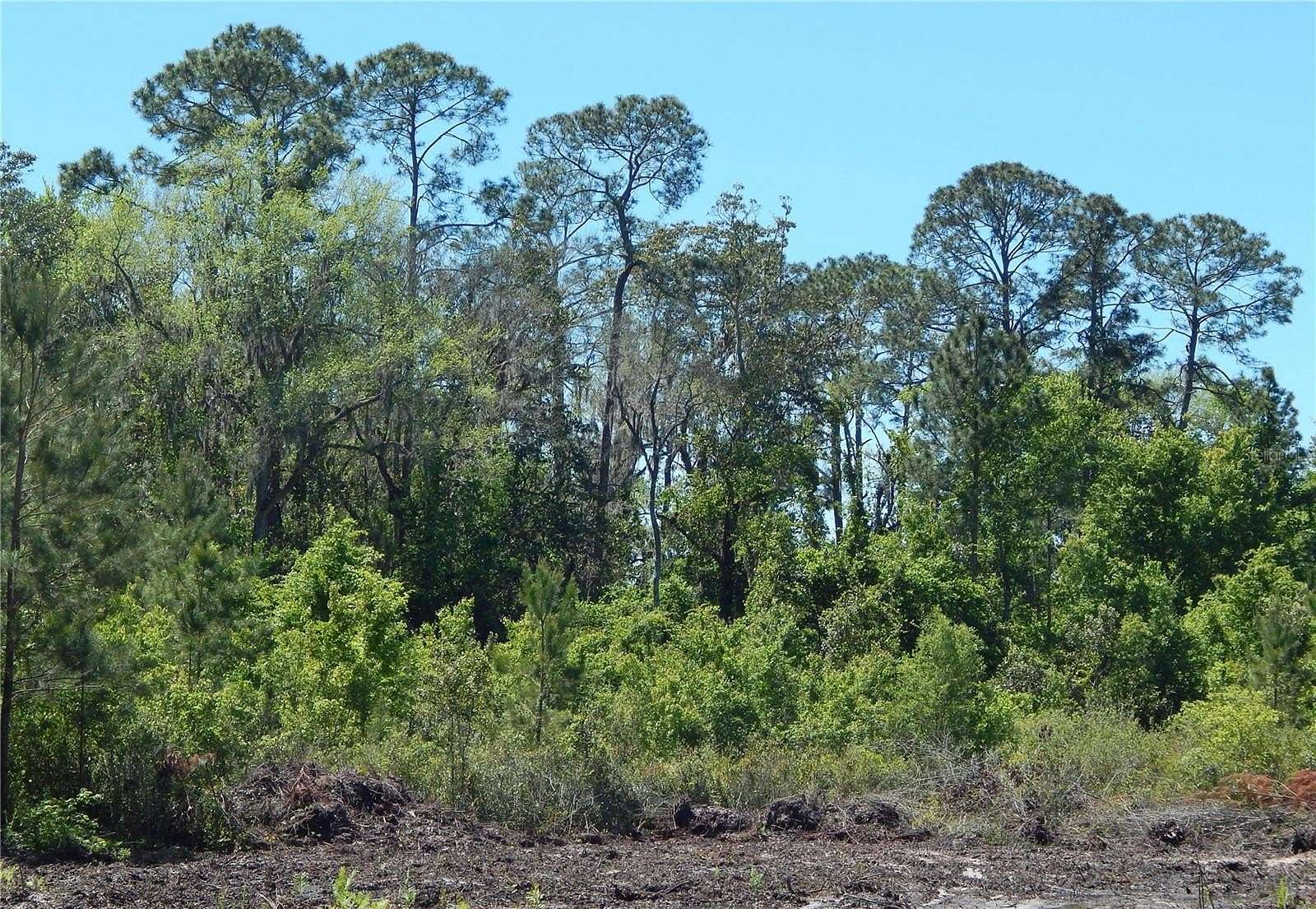 14.97 Acres of Land for Sale in Wellborn, Florida