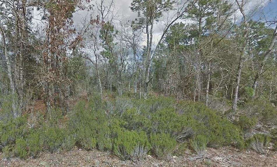 0.23 Acres of Residential Land for Sale in Interlachen, Florida