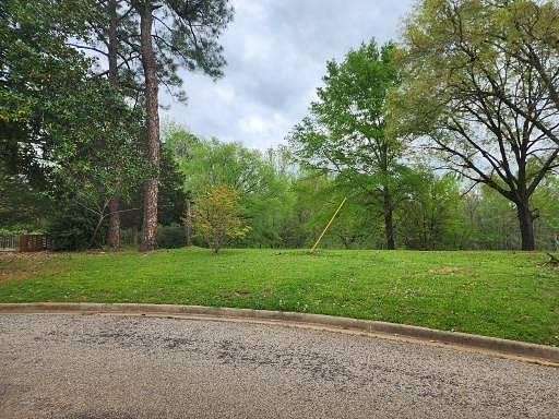 0.47 Acres of Land for Sale in Palestine, Texas