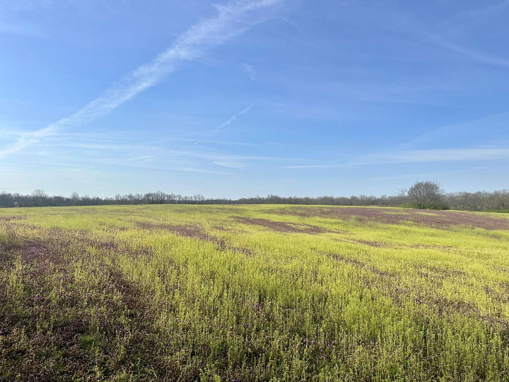 101.03 Acres of Agricultural Land for Sale in Lexington, Kentucky