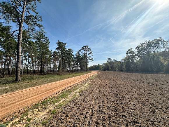 172 Acres of Recreational Land & Farm for Sale in Nashville, Georgia