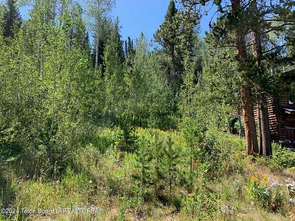 0.06 Acres of Residential Land for Sale in Victor, Idaho