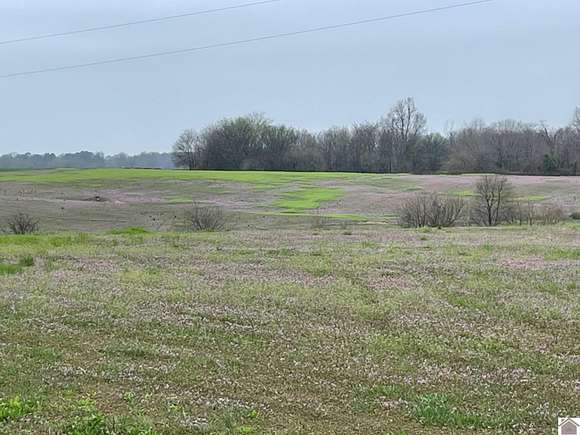48.8 Acres of Agricultural Land for Auction in Hickory, Kentucky