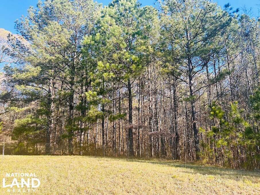 5 Acres of Residential Land for Sale in Newnan, Georgia