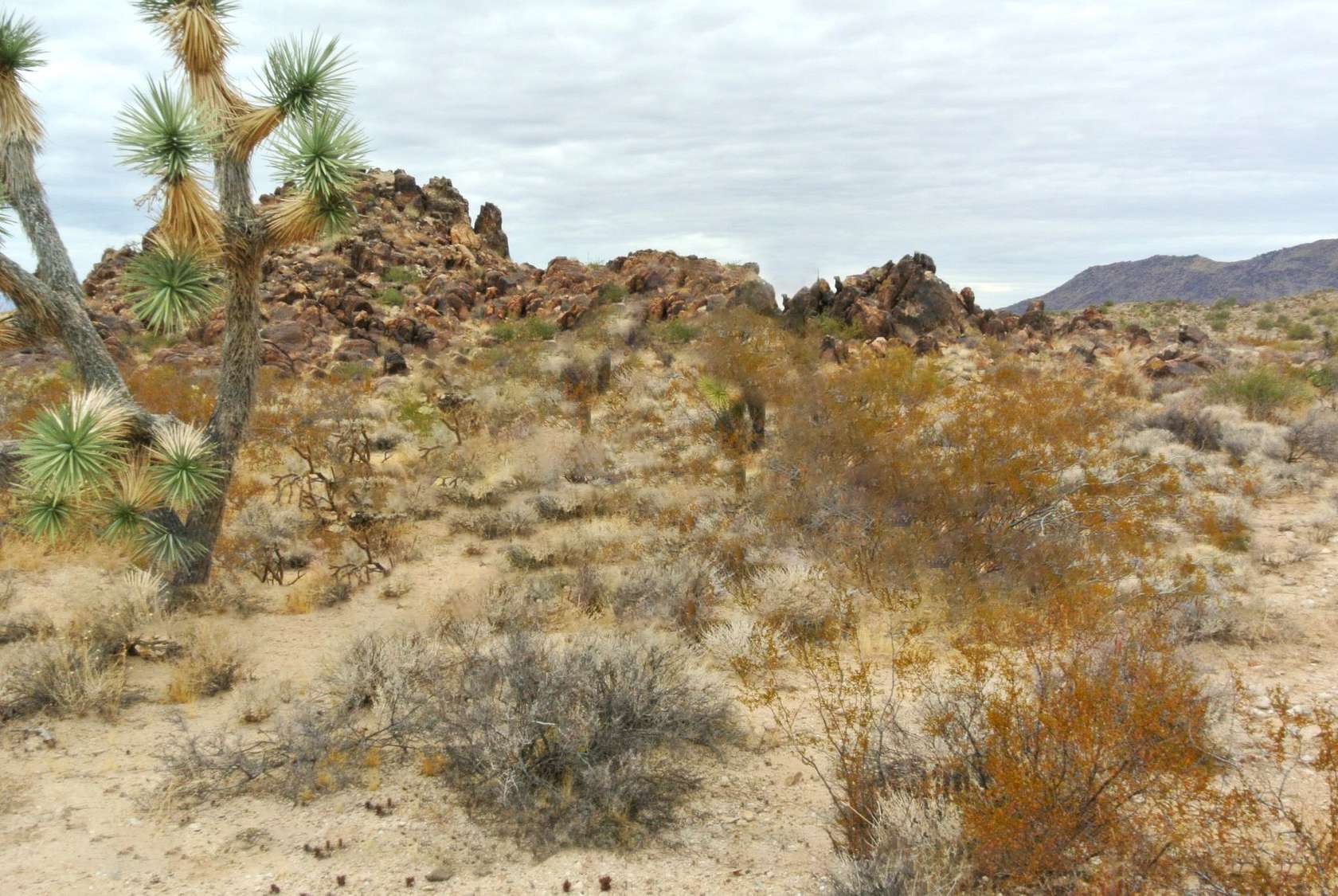 4.6 Acres of Residential Land for Sale in Yucca, Arizona