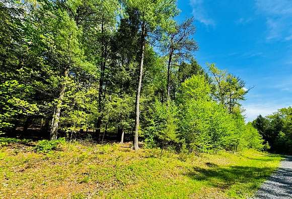 4.7 Acres of Residential Land for Sale in James Creek, Pennsylvania