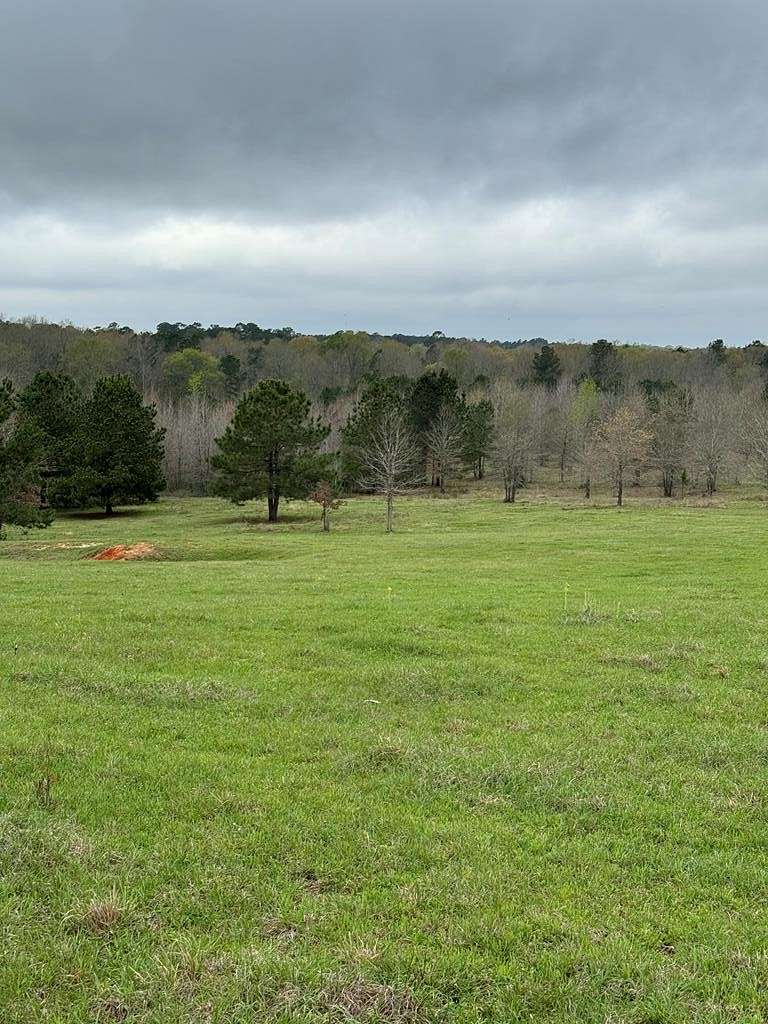 19.8 Acres of Land for Sale in Nacogdoches, Texas