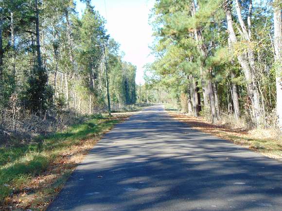 1 Acre of Residential Land with Home for Sale in Tylertown, Mississippi