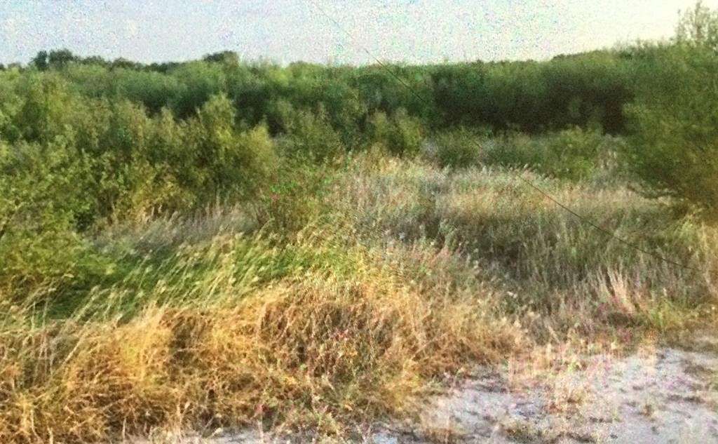 0.45 Acres of Residential Land for Sale in Eagle Pass, Texas