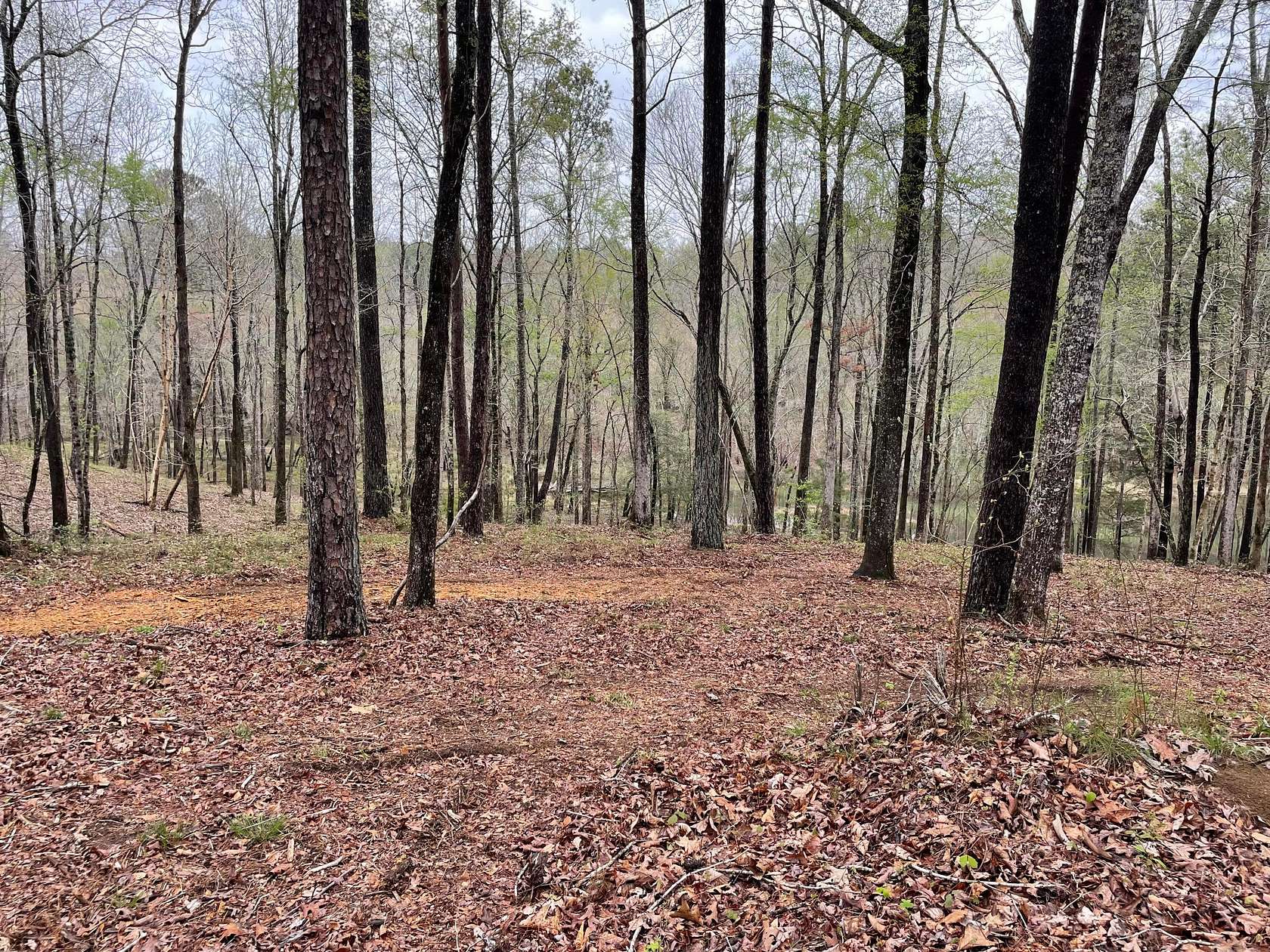 0.84 Acres of Land for Sale in Double Springs, Alabama