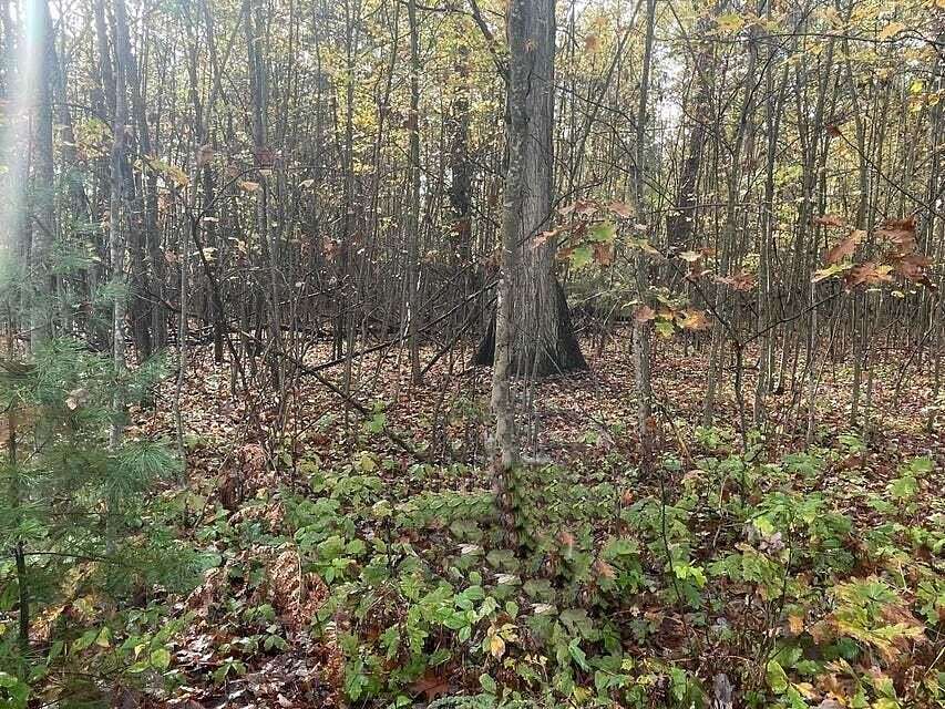 0.7 Acres of Land for Sale in Houghton Lake, Michigan
