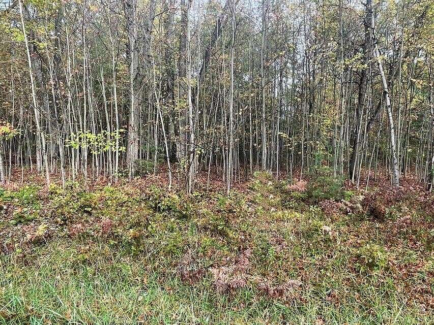 0.55 Acres of Land for Sale in Houghton Lake, Michigan