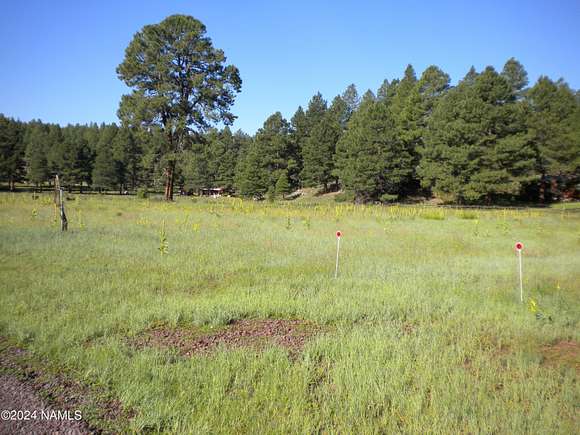 1.2 Acres of Residential Land for Sale in Flagstaff, Arizona