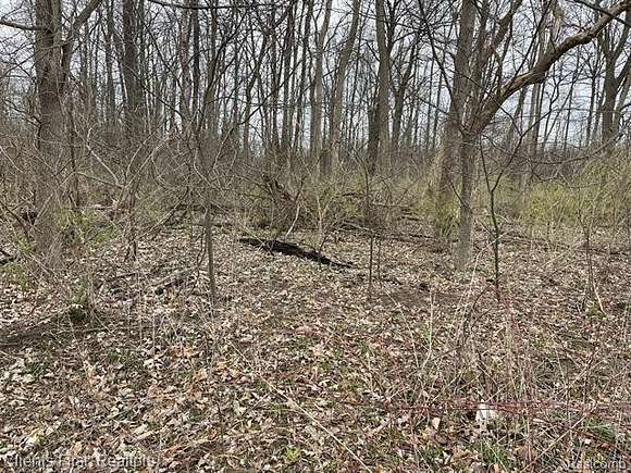 0.29 Acres of Residential Land for Sale in Canton, Michigan