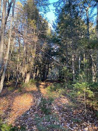 15 Acres of Land for Sale in Madison, Maine