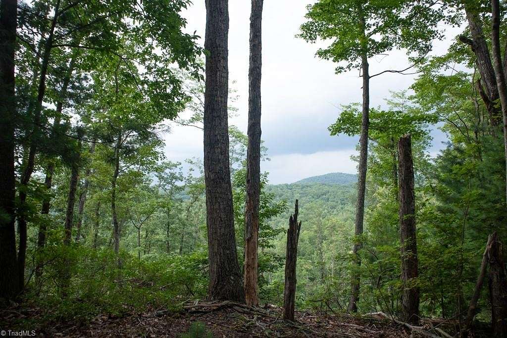 11 Acres of Land for Sale in McGrady, North Carolina