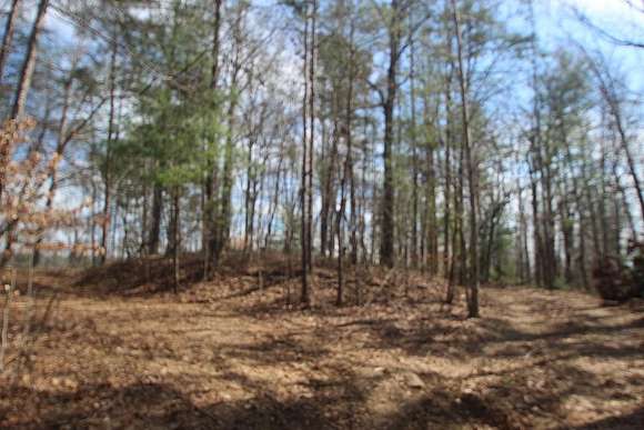3.8 Acres of Residential Land for Sale in Ellijay, Georgia