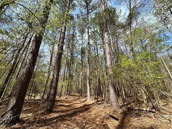 33 Acres of Recreational Land for Sale in New Site, Mississippi