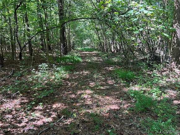 15 Acres of Recreational Land for Sale in Jetersville, Virginia