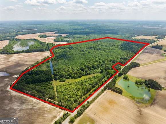 150 Acres of Recreational Land for Sale in Hawkinsville, Georgia