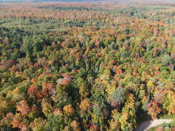 240 Acres of Land for Sale in Pelkie, Michigan