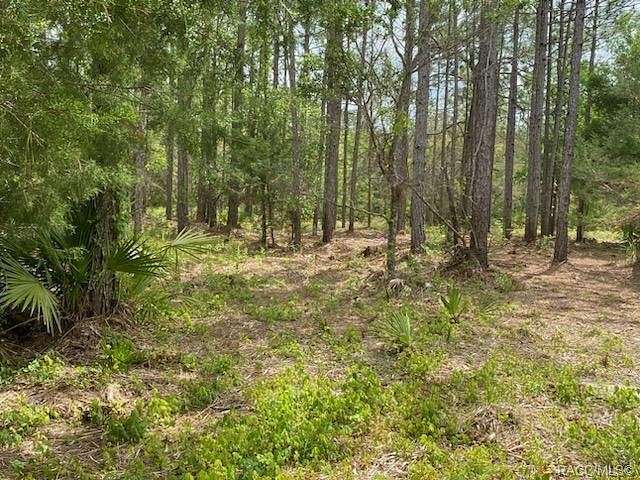 0.51 Acres of Land for Sale in Homosassa, Florida
