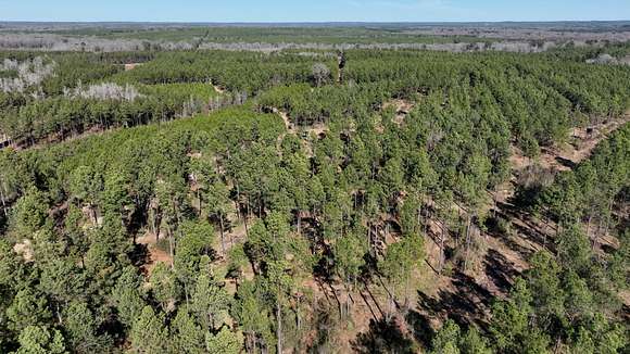 331 Acres of Recreational Land for Sale in Ringgold, Louisiana