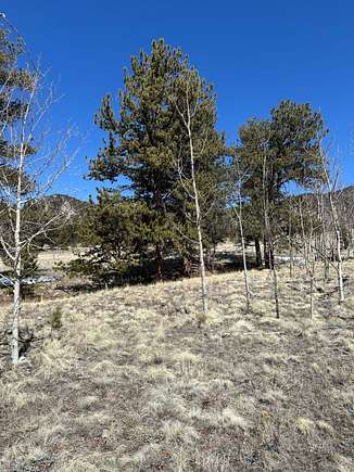 5 Acres of Recreational Land for Sale in Hartsel, Colorado