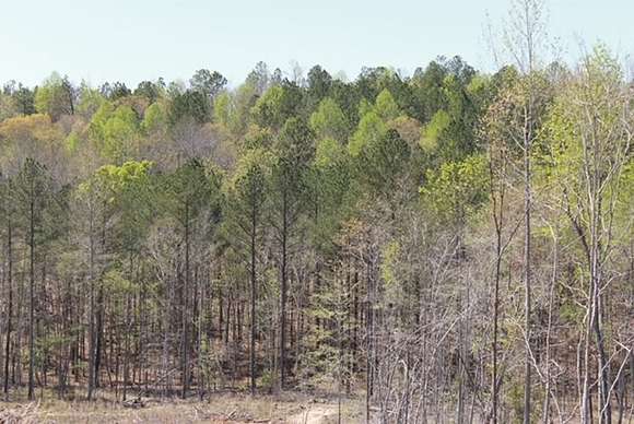 425 Acres of Land with Home for Sale in Centreville, Alabama