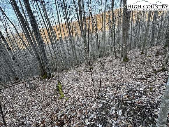 1 Acre of Residential Land for Sale in Beech Mountain, North Carolina