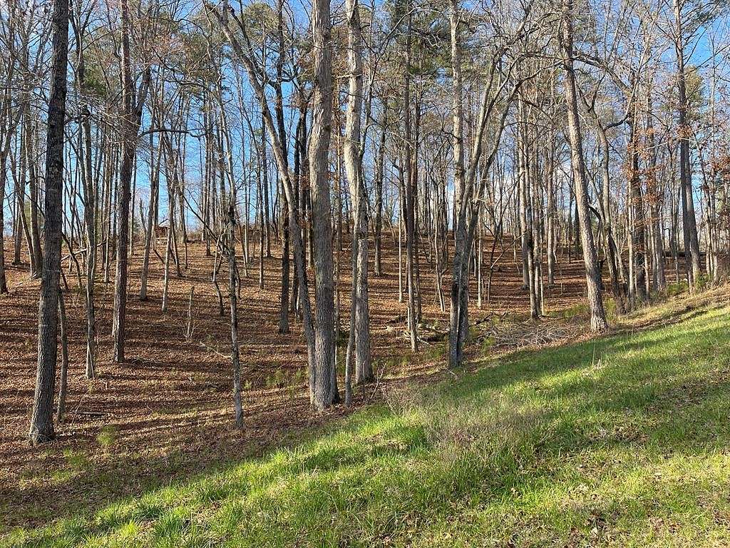 1.2 Acres of Residential Land for Sale in Ellijay, Georgia