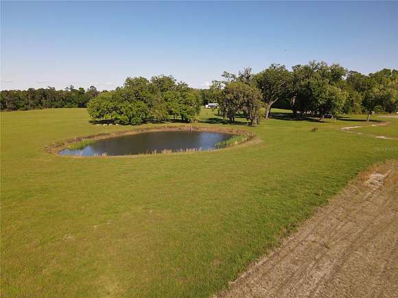 77.6 Acres of Agricultural Land with Home for Sale in Gainesville, Florida
