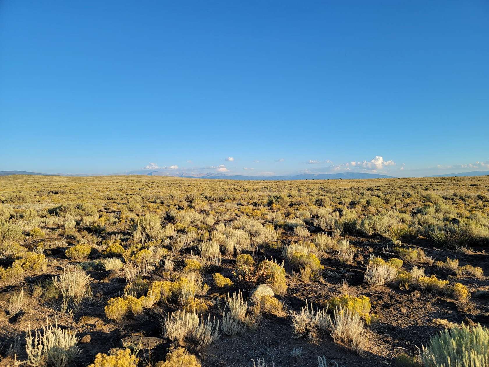 5 Acres of Residential Land for Sale in Blanca, Colorado